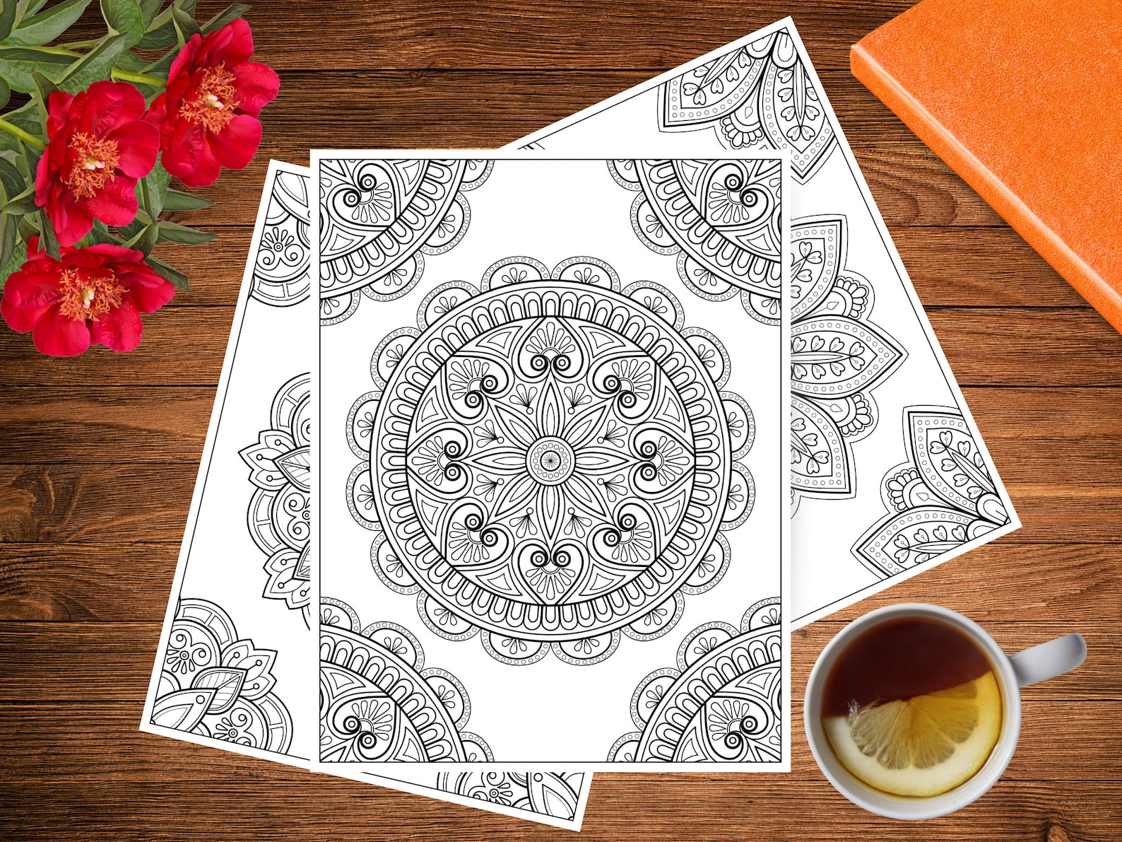 Terapia de Mandalas | 80 diseños imprimibles para pintar